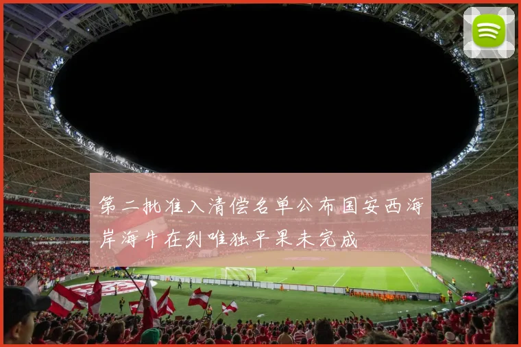 第二批准入清偿名单公布国安西海岸海牛在列唯独平果未完成